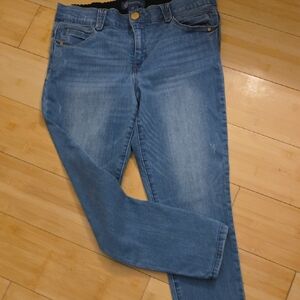 Democracy Classic Blue Skinny Jeans
